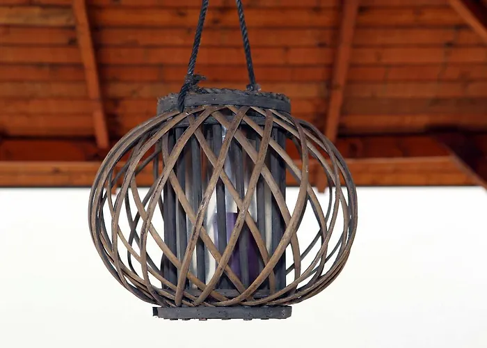 Zeljko 63 * פולה