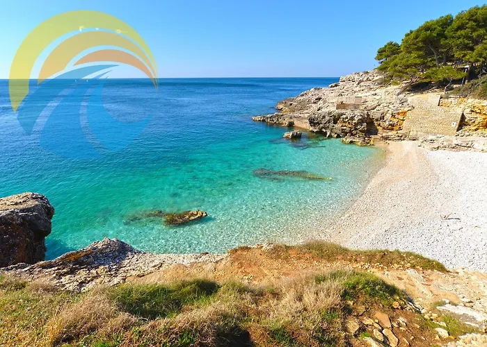 Zeljko 63 דירה *